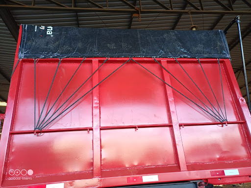 Lonas Faisão