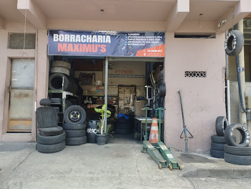 Borracharia maximu's