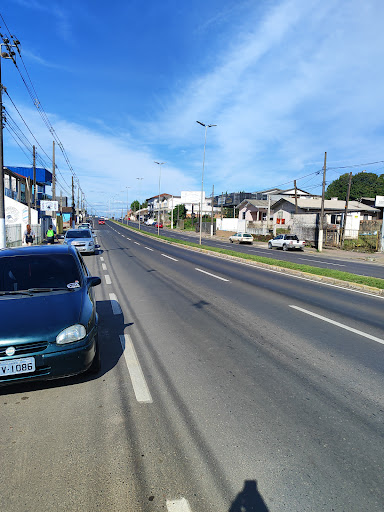 Naris borracharia
