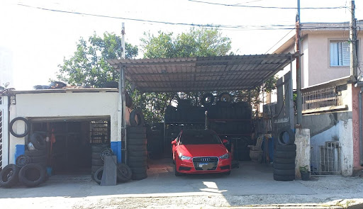 Borracharia Aurélia