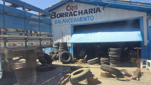 CRIS BORRACHARIA