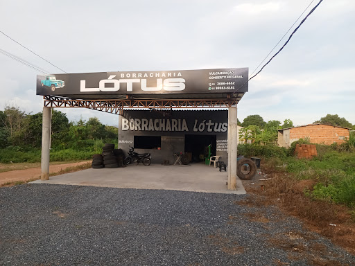 Borracharia lótus