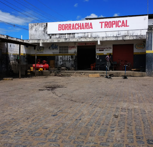 Borracharia Tropical