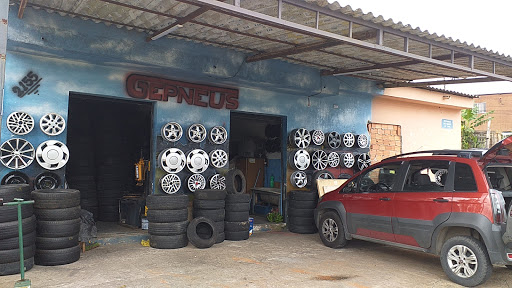 GEPNEUS