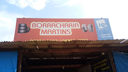 Borracharia martins