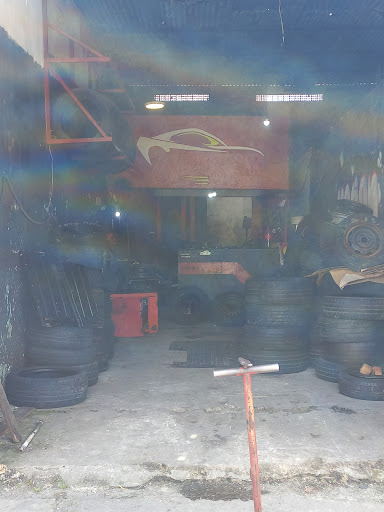 Borracharia jm