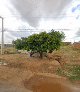 Borracharia-Boa-Vista